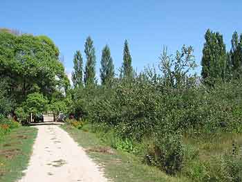 Photograph showing walkway to the Tughluq Tömur Khan mazar in Huocheng in 2004.